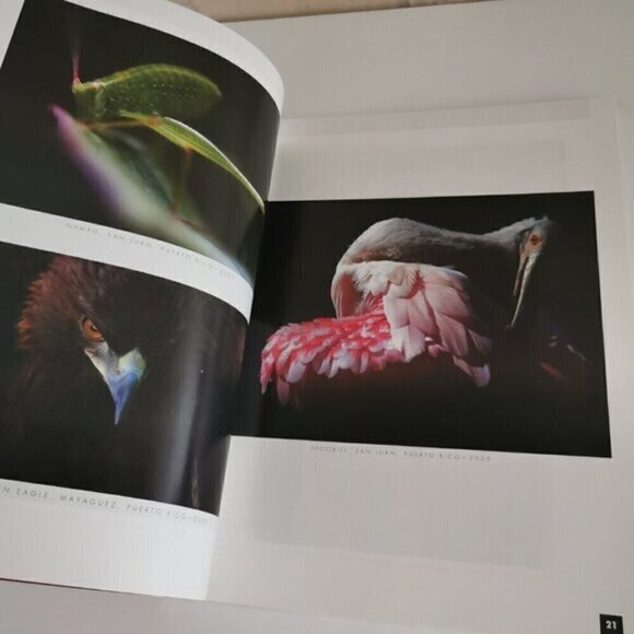 Color Photography Special Issue 2010 Magazine Portfolio Contest Winners Fine Art - Picture 6 of 10